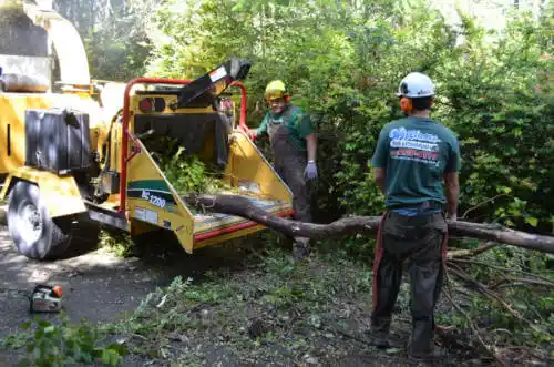 tree services Geneseo